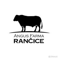 Plemenní býci Aberdeen Angus