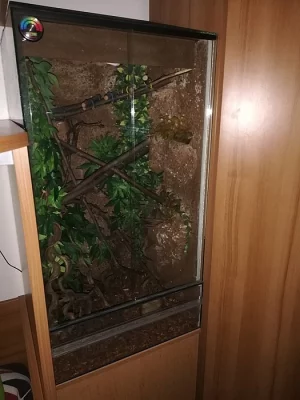 Terárium