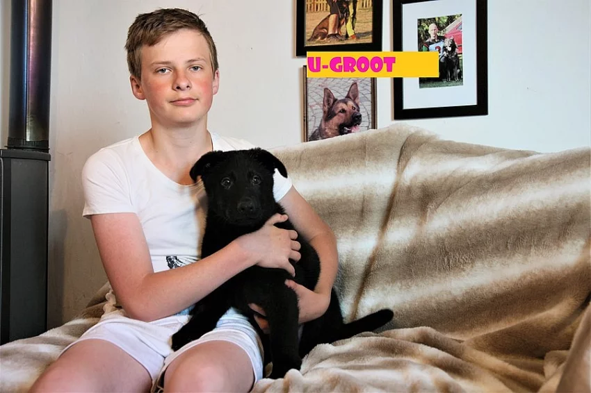 Německý ovčák s PP