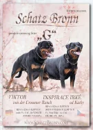 Štěňata rotvajlera s PP - Rottweiler (RTW) - štěně