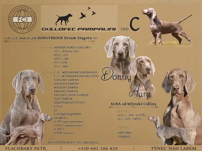 štěňátka s PP - vrh C, Lovec Pampaliny