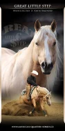 Quarter horse hříbě - kobylka