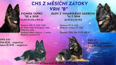 Chodský pes s PP