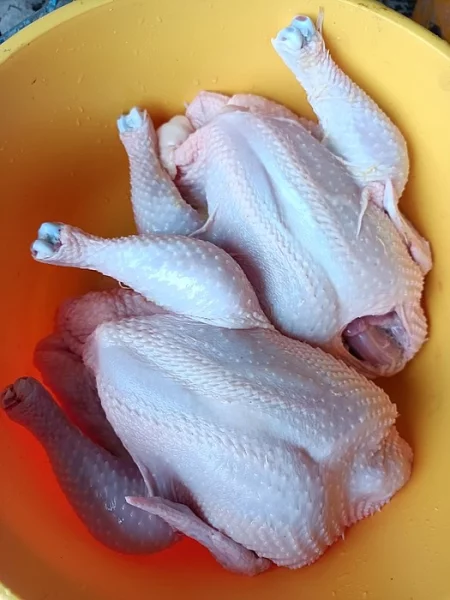 Zlatá kuřata v kuchyňské úpravě