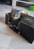 Dostane Becky šanci na nový lepší život?
