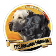 Štěně labradorského retrívra s PP