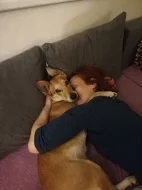 Sháníme krytí pro fenku DINGA