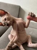 Kanadsky sphynx