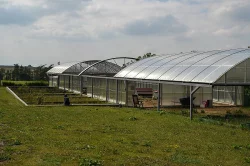 Malé  suchozemské želvy + vybavená terária