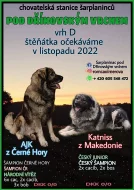 Přijímáme rezervace na očekávaný vrh