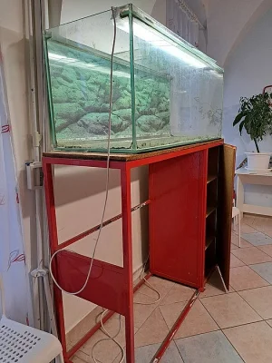Akvárium