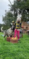 Šarplaninský pastevecký pes