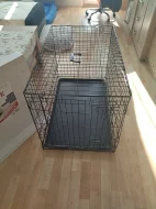 KLEC DOG FANTASY