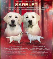 Labradorský retrívr -zluta štěňátka s PP
