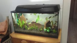 Akvarijní set úplné roční vybavení_ryby_filtrace_krmení_stůl