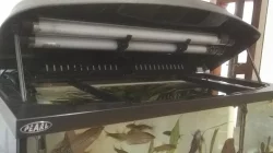 Akvarijní set úplné roční vybavení_ryby_filtrace_krmení_stůl