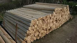 Dřevěná kulatina 240x10cm