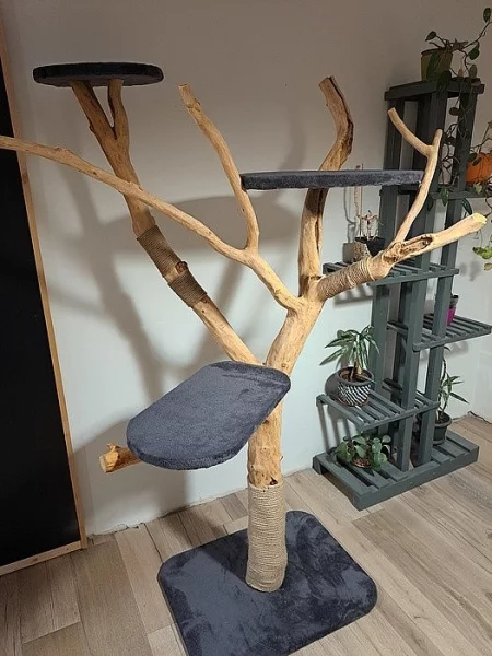 Přírodní škrábadlo