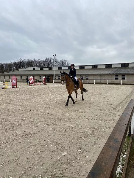 Valach,drezura,rekreace