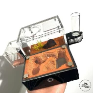 Prodám formikárium AntsEurope L1