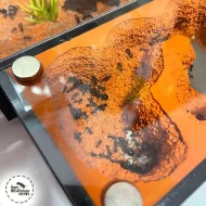 Prodám formikárium AntsEurope L1