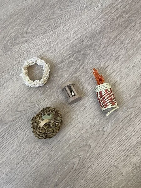 Očkovaný zakrslý čtyřměsíční králík