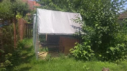 zdrobnělá paduánka