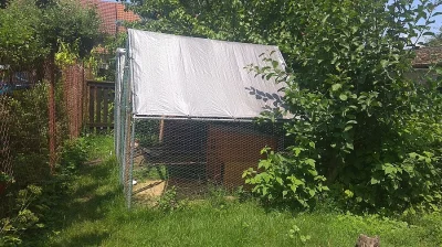 zdrobnělá paduánka