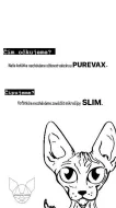KANADSKÝ SPHYNX S PP
