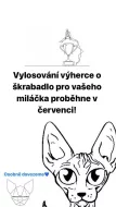 KANADSKÝ SPHYNX S PP