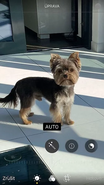 Biwer krytí