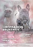 Francouzský buldoček s PP, Caitlyn Hromadog brunensis
