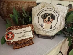 Entlebušský salašnícky pes