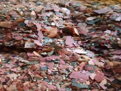 Pro ISOPODY nebo i pro PLŠIKY.