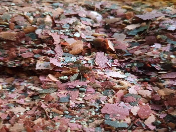 Pro ISOPODY nebo i pro PLŠIKY.