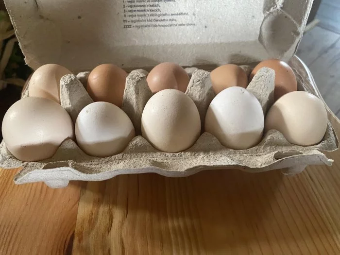 Prodám domácí vajíčka