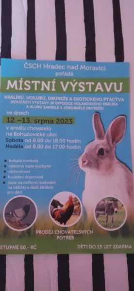 Výstava