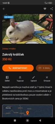 Zakrslí králíčci