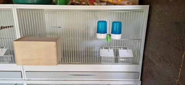 Bednové klece
