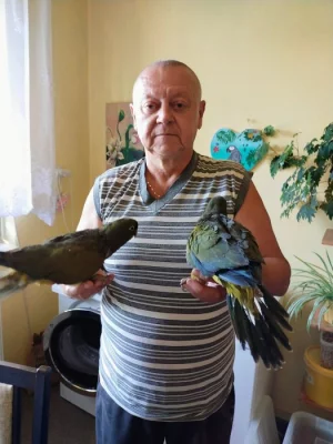 Papoušek patagonský