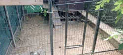 Zateplená bouda včetně ocelového voliéru, pro velkého psa.