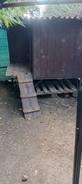 Zateplená bouda včetně ocelového voliéru, pro velkého psa.