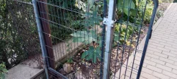 Zateplená bouda včetně ocelového voliéru, pro velkého psa.