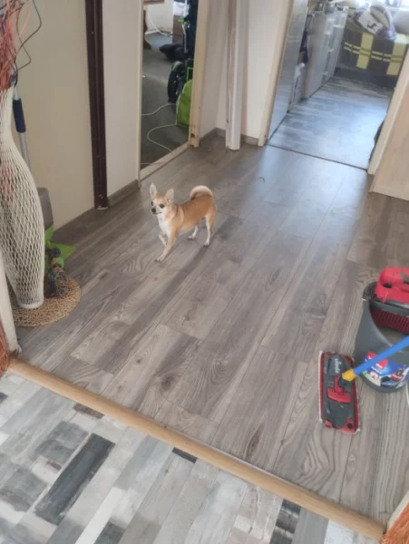 Daruji do dobrých rukou