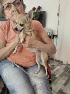 Daruji do dobrých rukou