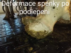 Paznehtařske služby