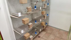 Klietky pre drobotinu