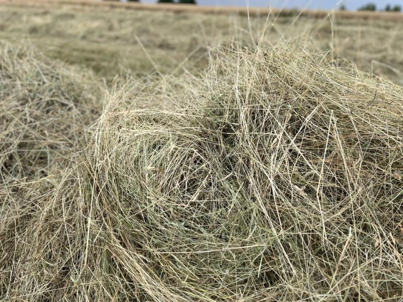 Kvalitní luční seno