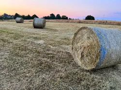 Kvalitní luční seno