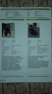 Rottweiler štěňata s PP